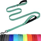 VIVAGLORY Twingrip Führleine Hund, Leine Hund Hausleine Joggingleine, Hundeleine mit 2 Griffen Doppelgriff, Gepolstert Neopren & Reflektierend, 1.5m x 2.5cm, Türkis