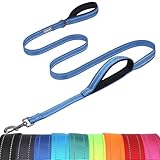 VIVAGLORY Twingrip Führleine Hund, Leine Hund Hausleine Joggingleine, Hundeleine mit 2 Griffen Doppelgriff, Gepolstert Neopren & Reflektierend, 1.5m x 2.5cm, Blau