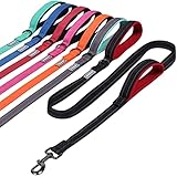 VIVAGLORY Hundeleine mit Zwei Griffen, für Training und Spazierengehen, mit Griff für den Verkehr, Hundeleine mit Griffen, reflektierende Sicherheit, Bequeme Hund Leine, 1.8 m x 2.5 cm, Schwarz