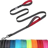 VIVAGLORY Twingrip Führleine Hund, Leine Hund Hausleine Joggingleine, Hundeleine mit 2 Griffen Doppelgriff, Gepolstert Neopren & Reflektierend, 1.8m x 2.5cm, Schwarz VIVAGLORY Twingrip Führleine Hund, Leine Hund Hausleine Joggingleine, Hundeleine mit 2 Griffen Doppelgriff, Gepolstert Neopren & Reflektierend, 1.8m x 2.5cm, Schwarz