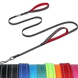 VIVAGLORY Twingrip Führleine Hund, Leine Hund Hausleine Joggingleine, Hundeleine mit 2 Griffen Doppelgriff, Gepolstert Neopren & Reflektierend, 1.8m x 1.4cm, Schwarz VIVAGLORY Twingrip Führleine Hund, Leine Hund Hausleine Joggingleine, Hundeleine mit 2 Griffen Doppelgriff, Gepolstert Neopren & Reflektierend, 1.8m x 1.4cm, Schwarz