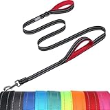 VIVAGLORY Twingrip Führleine Hund, Leine Hund Hausleine Joggingleine, Hundeleine mit 2 Griffen Doppelgriff, Gepolstert Neopren & Reflektierend, 1.8m x 2.5cm, Schwarz VIVAGLORY Twingrip Führleine Hund, Leine Hund Hausleine Joggingleine, Hundeleine mit 2 Griffen Doppelgriff, Gepolstert Neopren & Reflektierend, 1.8m x 2.5cm, Schwarz