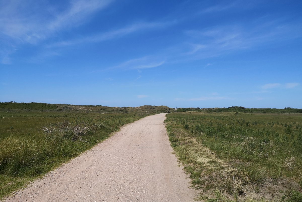 Fahrradweg auf Borkum