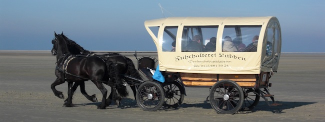 Pferde im Watt von Borkum mit Kutsche