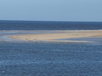 Wattwanderung Borkum